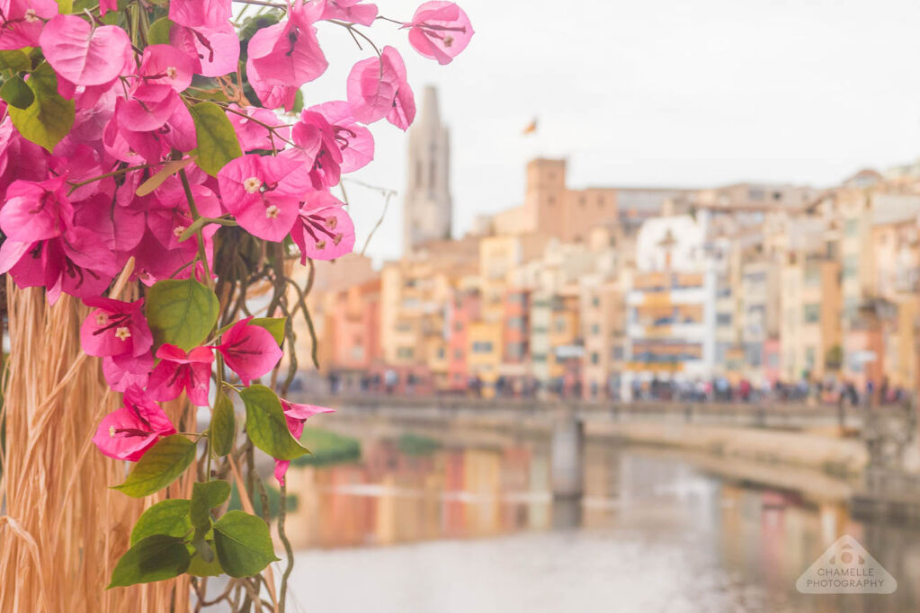 Girona Flower Season